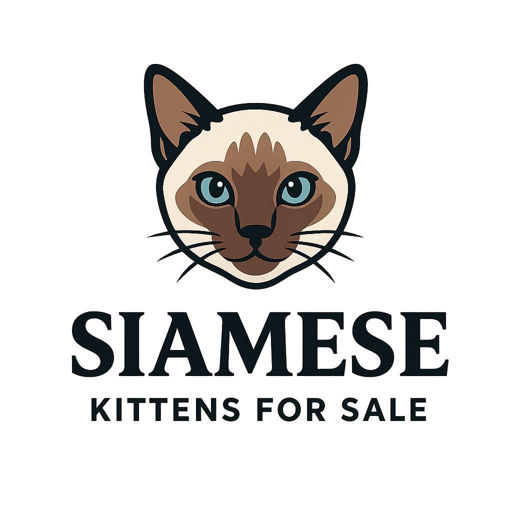 Siamese kittens for sale